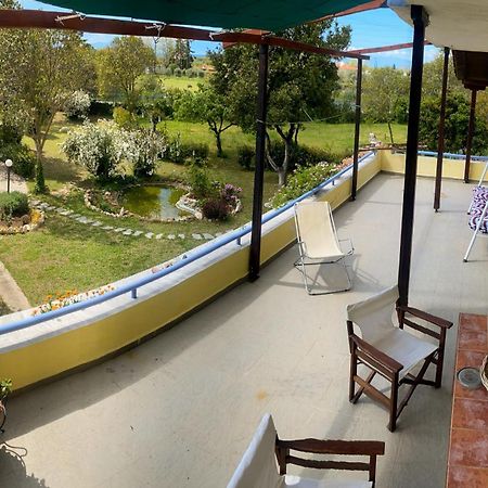 Pond And Pines, By Nice House By The Sea! إبانومي المظهر الخارجي الصورة