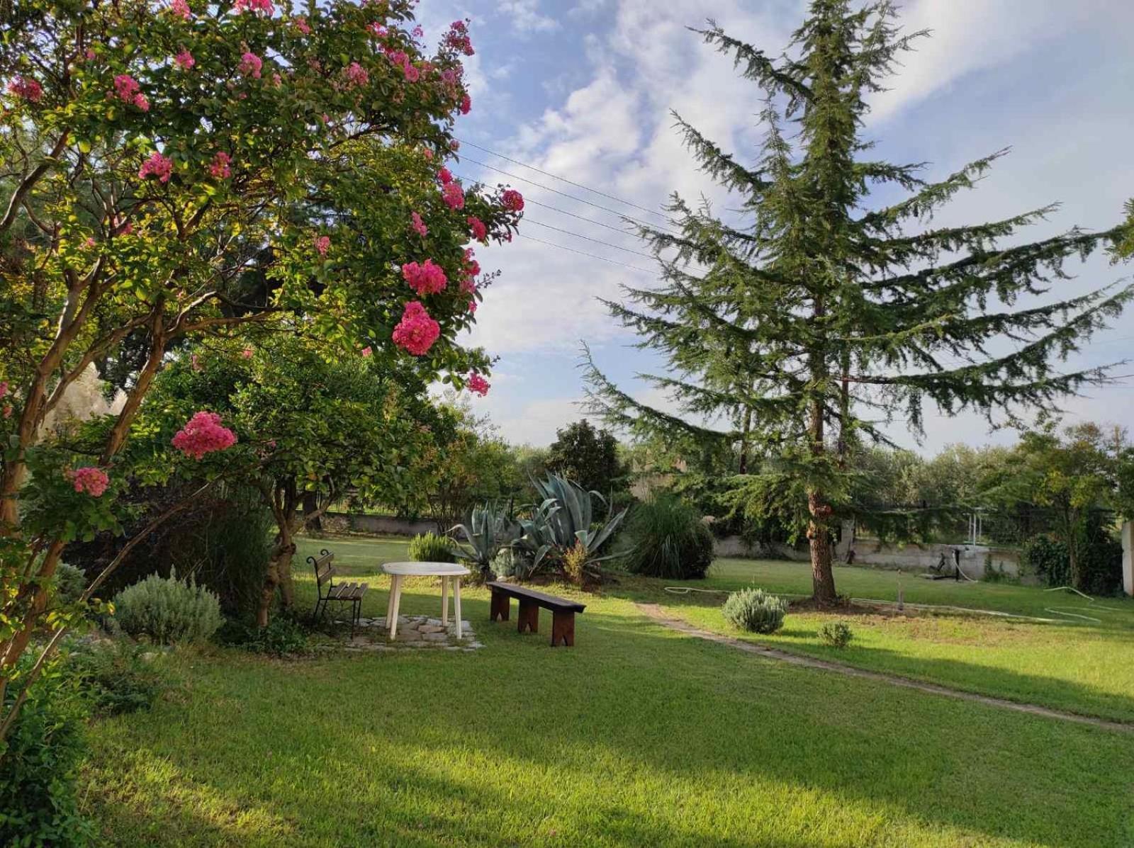 Pond And Pines, By Nice House By The Sea! إبانومي المظهر الخارجي الصورة